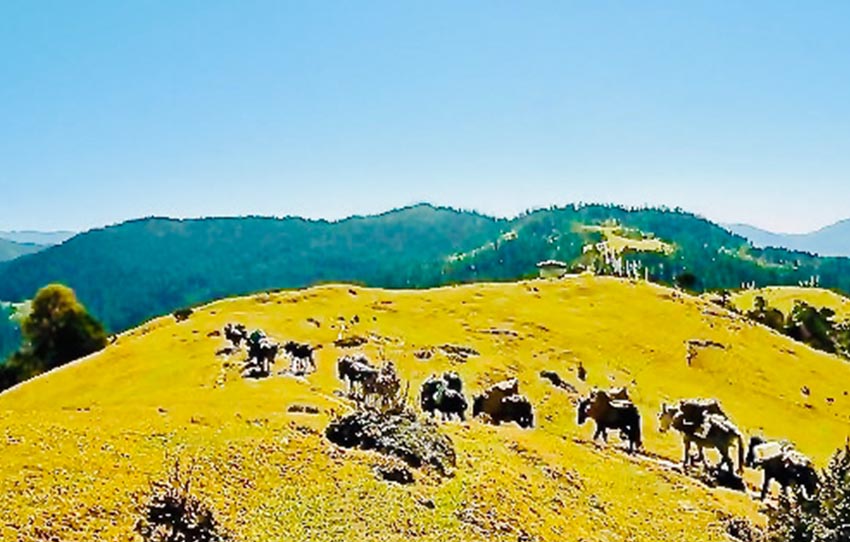 hike-to-jele-dzong