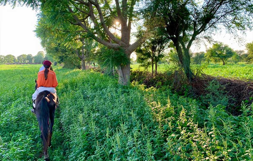 bonding-with-horses