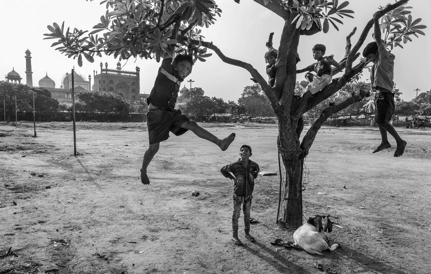 kids-playing-around-tree-photography-tour-chandni.jpg