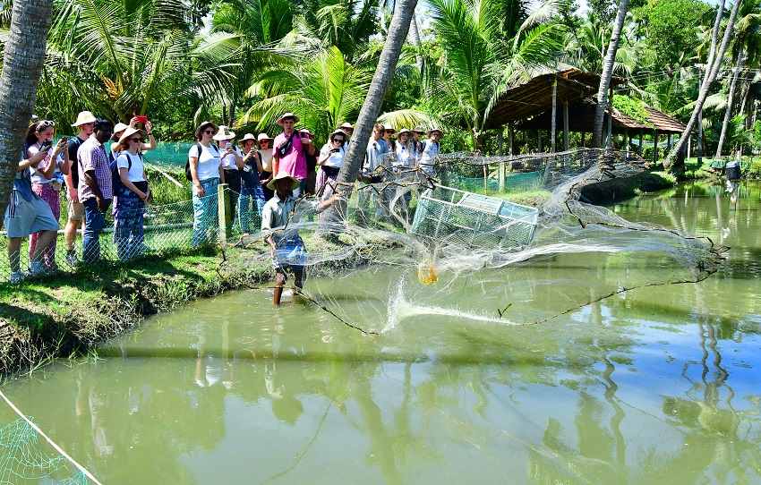 kumbalanghi-village-tour