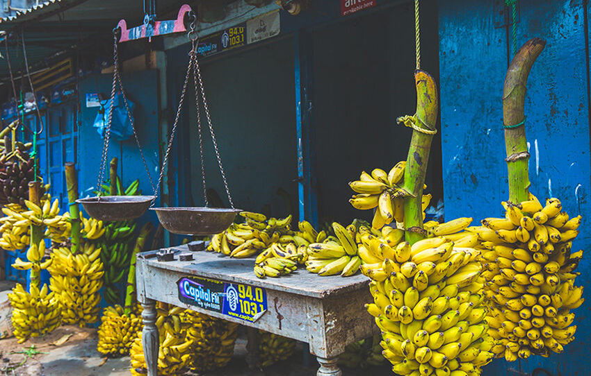 lesser-known-jaffna