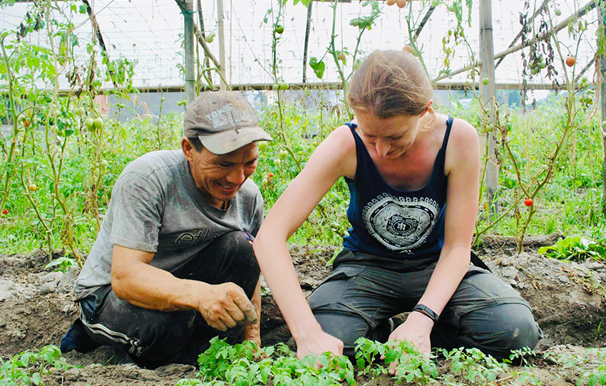 live-like-a-farmer