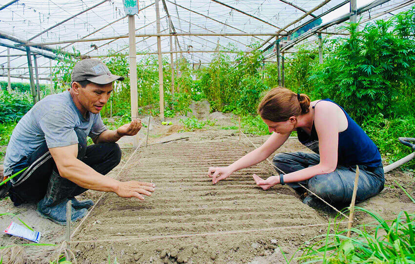 live-like-a-farmer