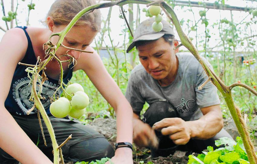 live-like-a-farmer