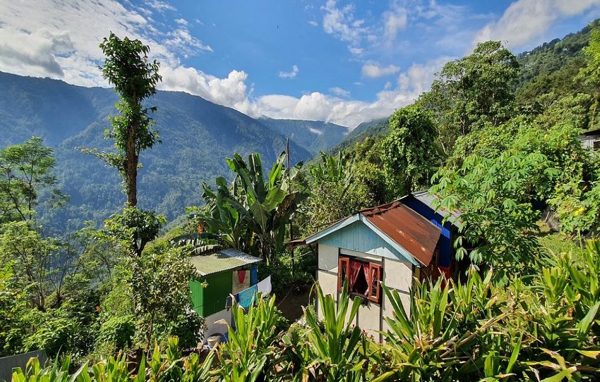 nature-view-darjeeling-walk.jpg