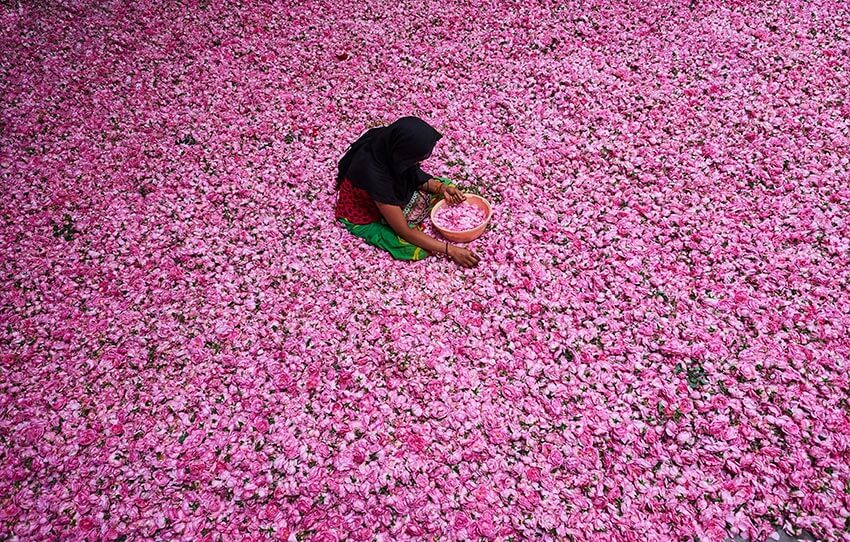 perfumery-tourism