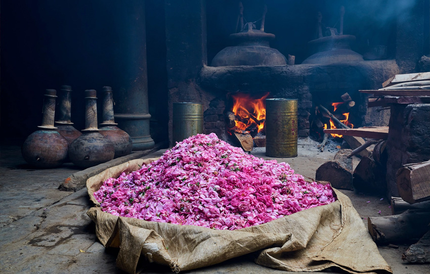 perfumery-tourism-in-Kannauj