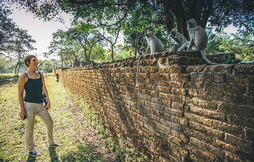 polonnaruwa-s-primates