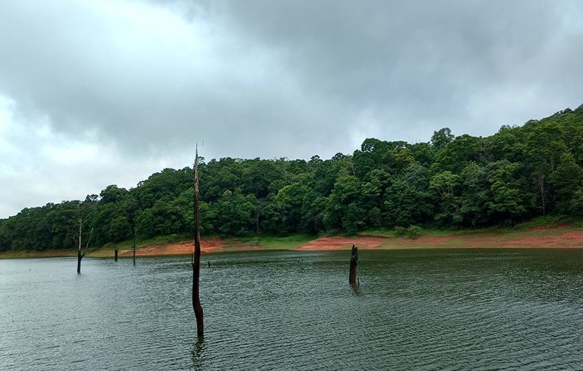 bamboo-rafting-inside-periyar-tiger-reserve