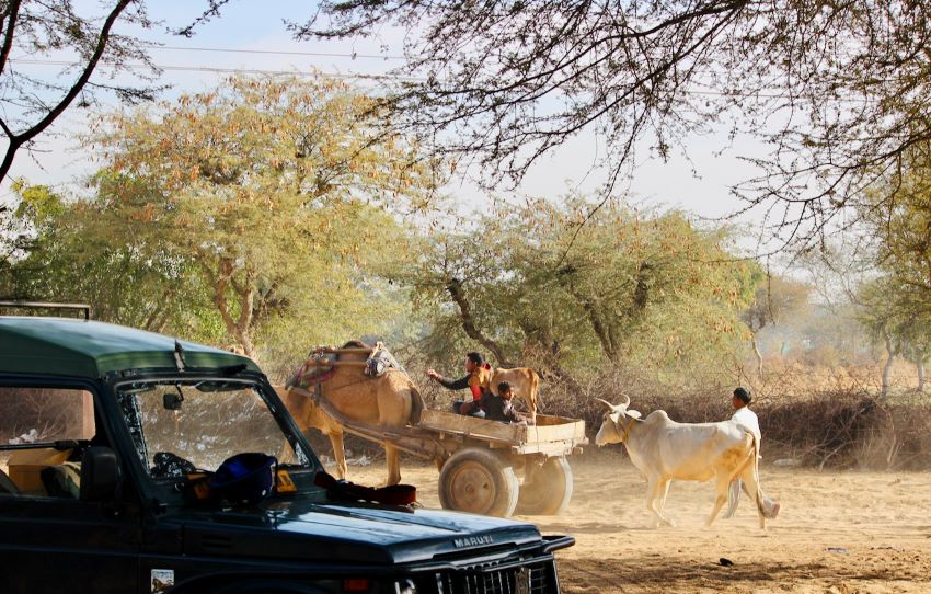 shekhawati-village-tour