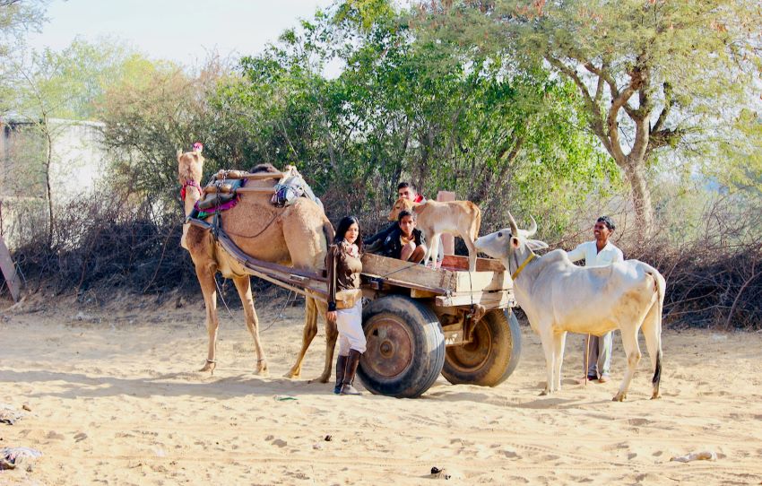 shekhawati-village-tour