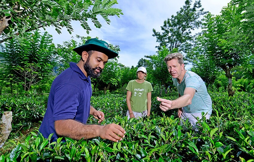 tea-lunch-and-waterfalls-1-AlphonSo-Stories.jpg