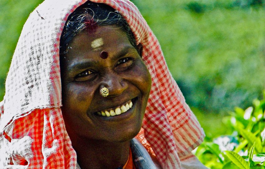 day-with-tea-pickers