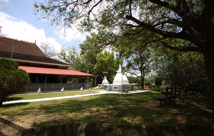 the-buddhist-nuns