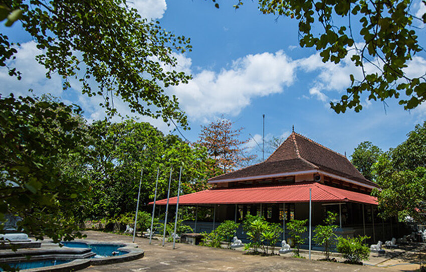 the-buddhist-nuns