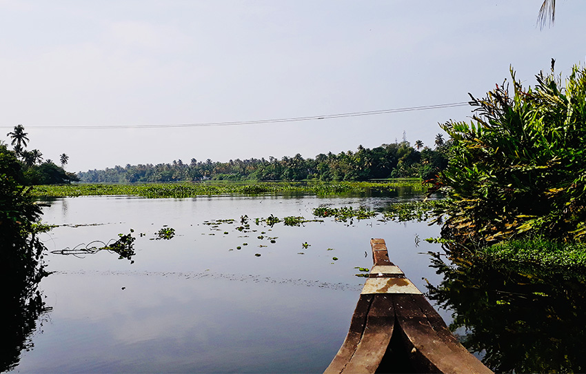 village-backwater-tour-a-trip-down-backwater-lane