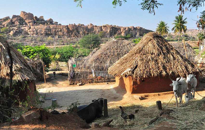 village-life-tour-hampi-through-the-eyes-of-its-people