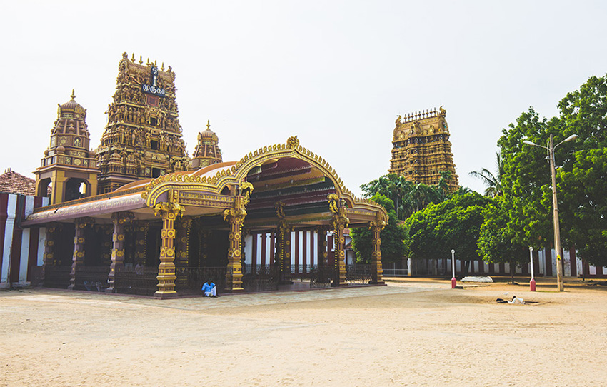 visit-nallur-like-a-local