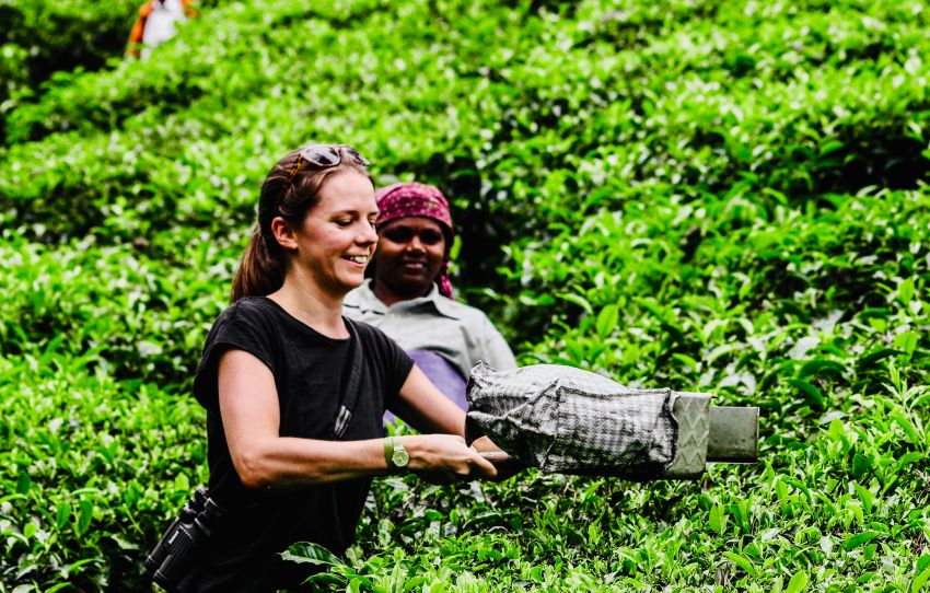 women-tea-plantation-munnar.jpg