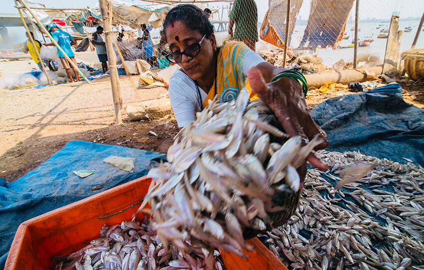 worli-village-walk-fisherfolk-tales-3-AlphonSo-Stories.jpg