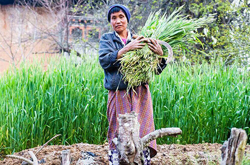 soulful-discoveries-of-bhutan