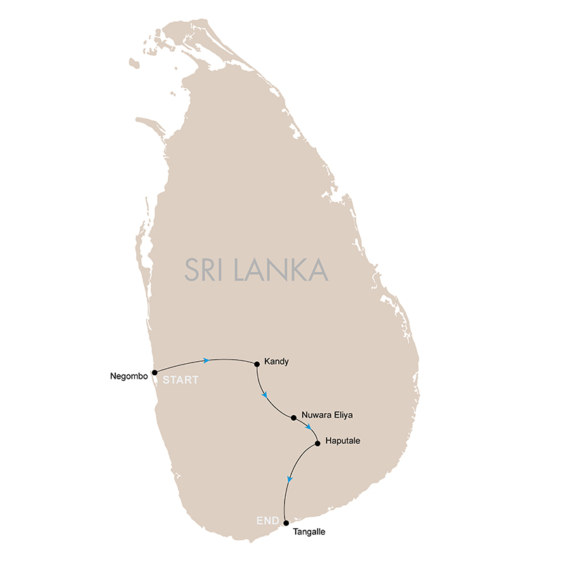 sri-lanka-family-adventure-explore-bond-thrive