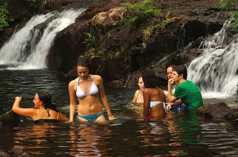 Makandawa Rain Forest in Kitulgala