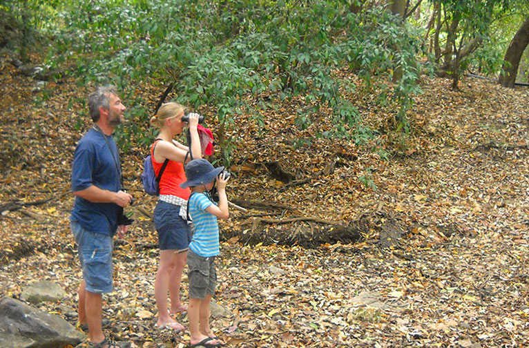 Bird Watching Sigiriya