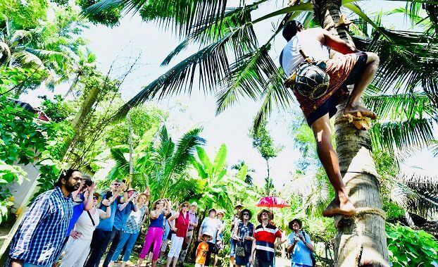 10-choses-voir-et-faire-kochi