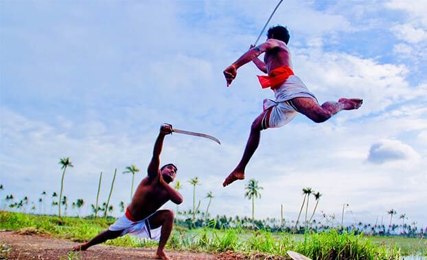 les-meilleures-choses-faire-et-voir-thekkady