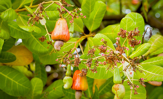 out-of-the-box-goa-l-art-de-la-mati-re