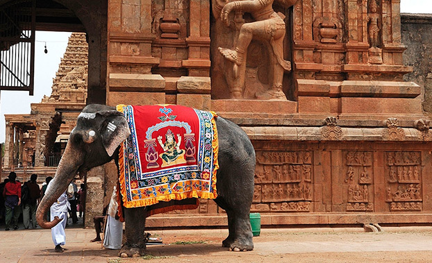 4-choses-fantastiques-voir-et-faire-dans-le-sud-de-l-inde