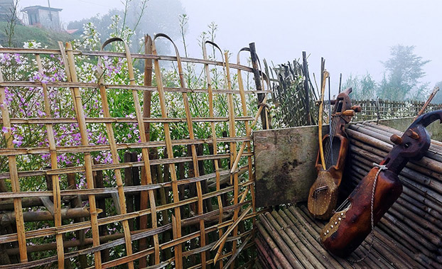 darjeeling-walks-giving-back-for-a-better-tomorrow-randonn-es-p-destres-darjeeling-pour-un-meilleur-avenir