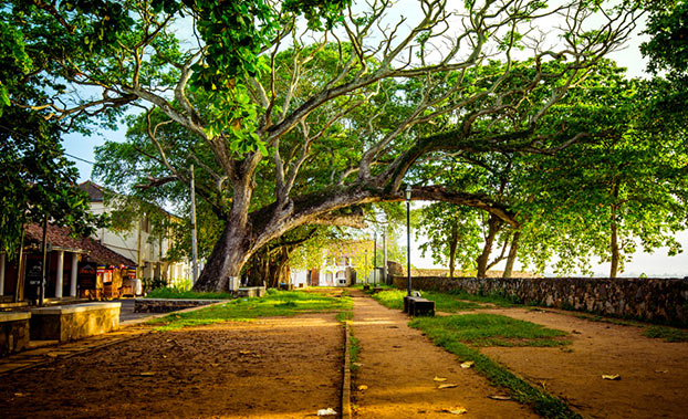 activit-s-familiales-au-sri-lanka-et-au-bhoutan