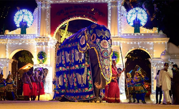 les-vibrations-festives-de-juillet-les-v-nements-ne-pas-manquer-ce-mois-ci