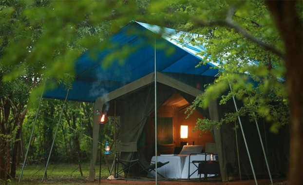 le-luxe-pouse-la-vie-durable-au-sri-lanka-s-botanical-world-blog