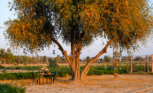 mharo-khet-une-aventure-de-vie-durable