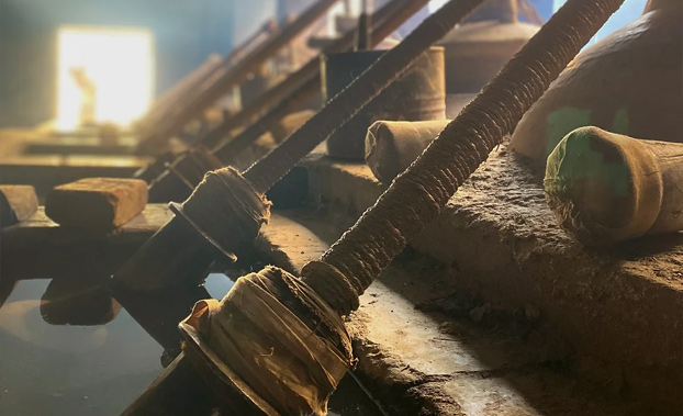 la-route-des-parfums-durables-en-inde