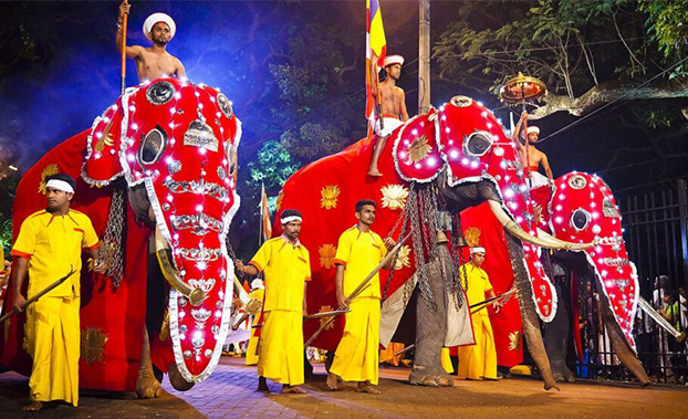 les-modes-d-hivernage-du-sri-lanka