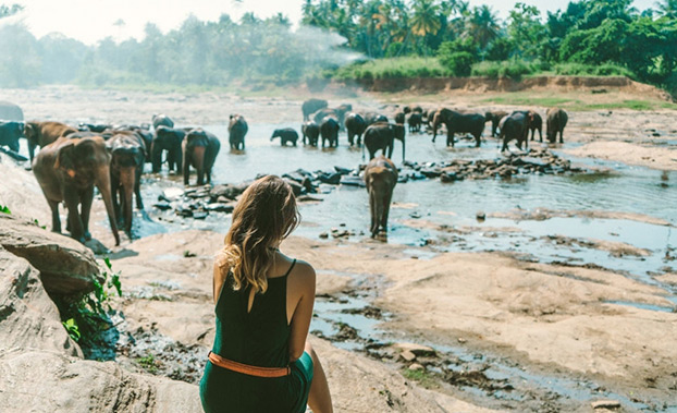 6-sensations-envo-tantes-au-sri-lankais