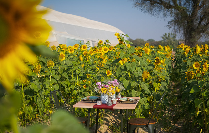 experience-culinaire