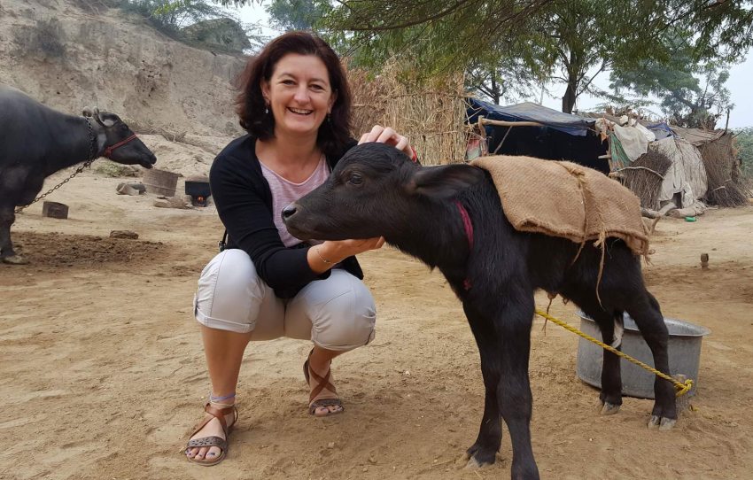 agra-countryside-bicycle-tour