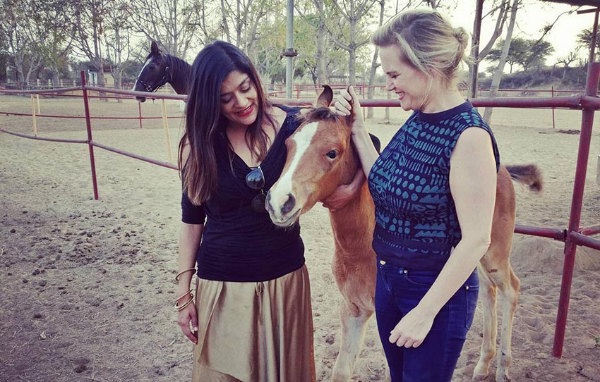 liens-avec-les-chevaux