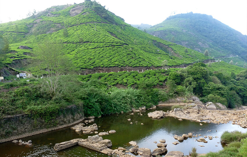 pothamedu-point-de-vue