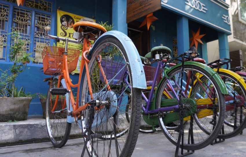 tournee-des-murs-parlants-art-de-la-rue-equitation