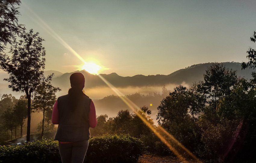 pothamedu-point-de-vue