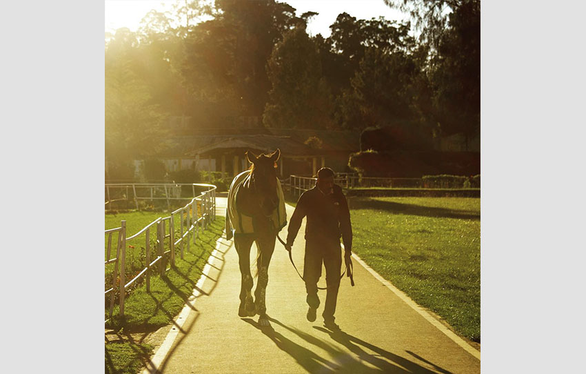 apres-midi-high-tea-a-lecurie