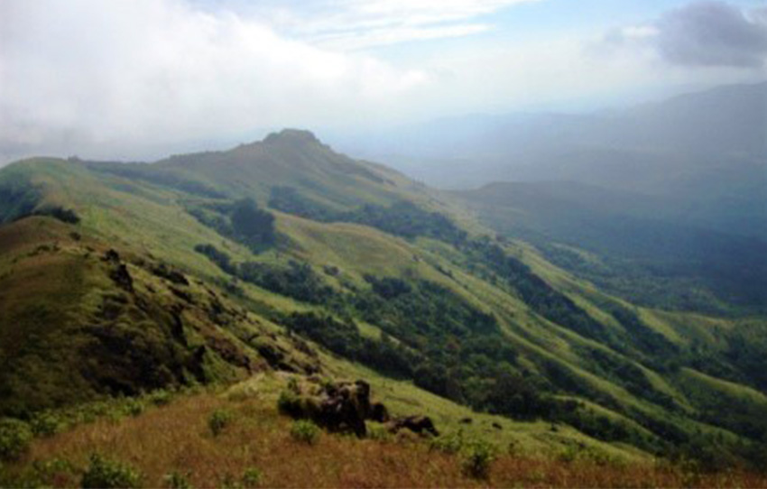 dieux-caches-tigres-croupissants