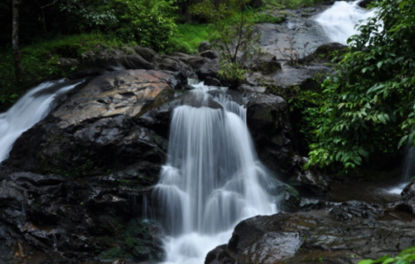 dieux-caches-tigres-croupissants