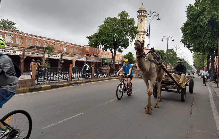 ville-rose-sur-pedales